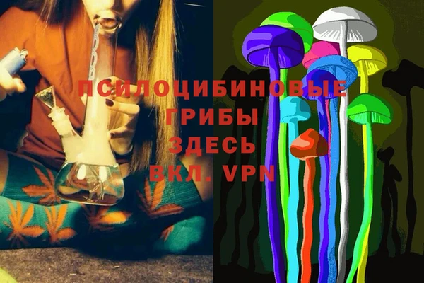 хмурый Бронницы