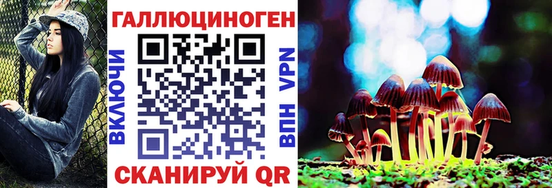 Псилоцибиновые грибы Cubensis  Купить закладки  Георгиевск 